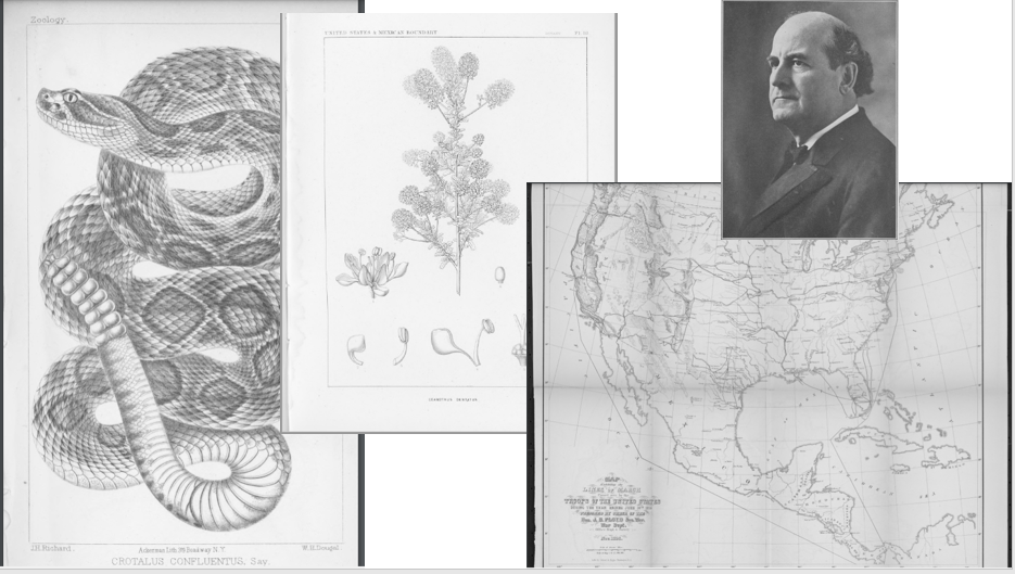 Images from Serial Set volumes.