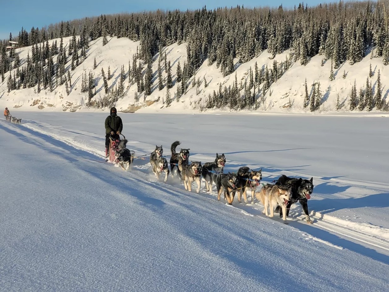  A dog sled team traveling along the Tanana River (February 23, 2022). Source: NPS