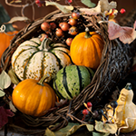 Image of a Thanksgiving cornucopia